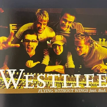 Flying Without Wings