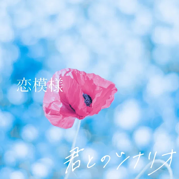 恋模様