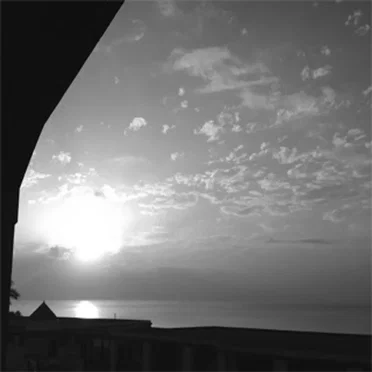Vacu Sessions 29 by A.P - album cover
