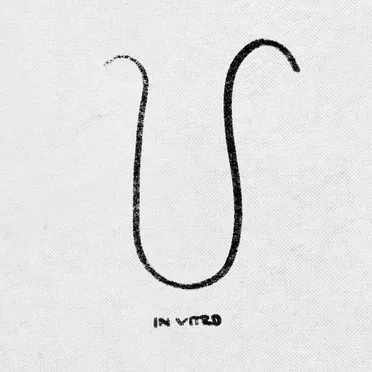 In Vitro by We Don’t Suck, We Blow! - album cover