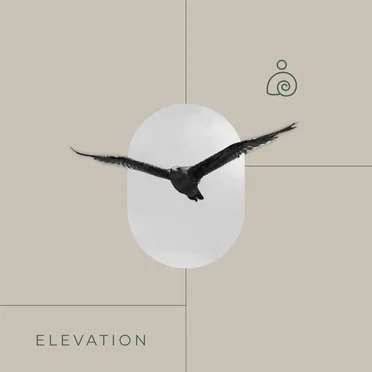 Elevation