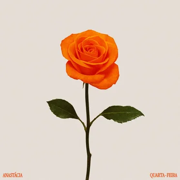 QUARTA-FEIRA