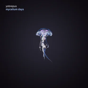 Mycelium Days by Yobrepus - album cover