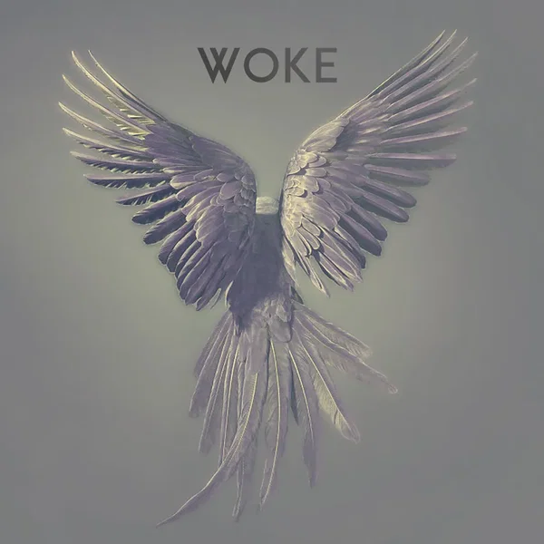 Woke