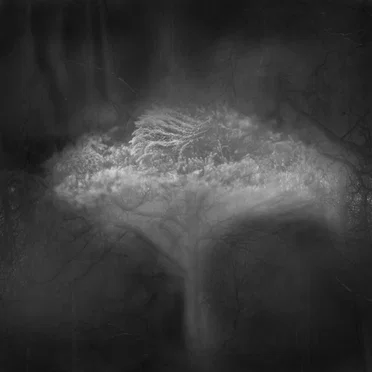 Bury the Ones We Love and Burn the Rest