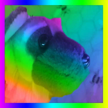 Turn Up the Hue