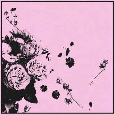 Chamber of Roses (Joey Chaos remix)