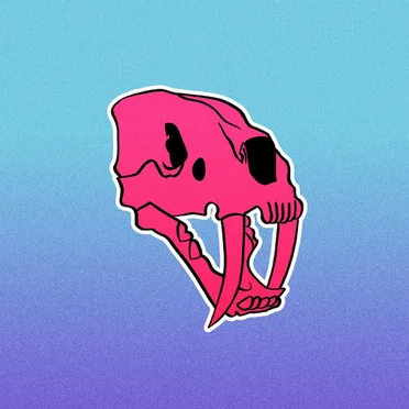 From Top to Bottom by Rose Tiger - album cover