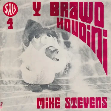 Y Brawd Houdini