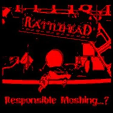 Responsible Moshing...?