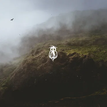 In the Midst of Mist