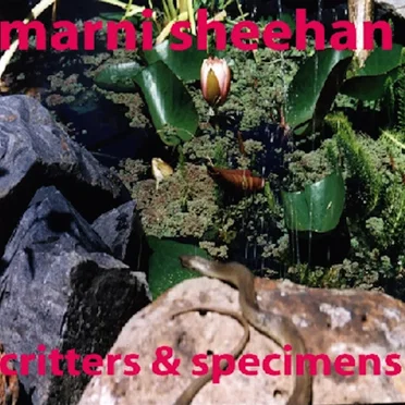 Critters & Specimens by Marni Sheehan - album cover