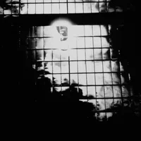 Anna Clementi artist image