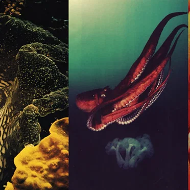 Sub-Aquatic Meditation / Soma Satori