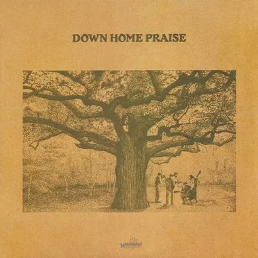Down Home Praise by Down Home Praise - album cover