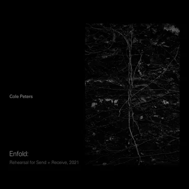 Enfold: Rehearsal for Send + Receive, 2021