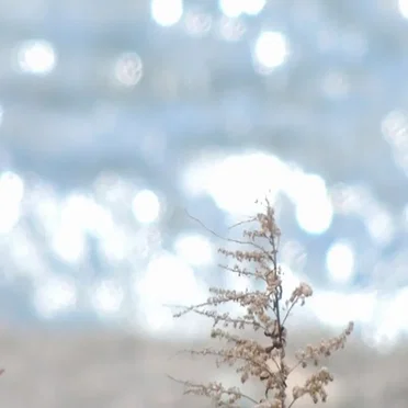 春風セッション