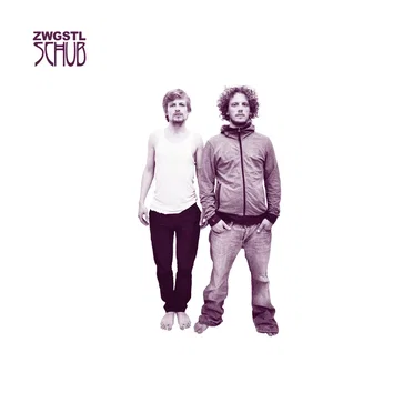Schub by ZWGSTL - album cover