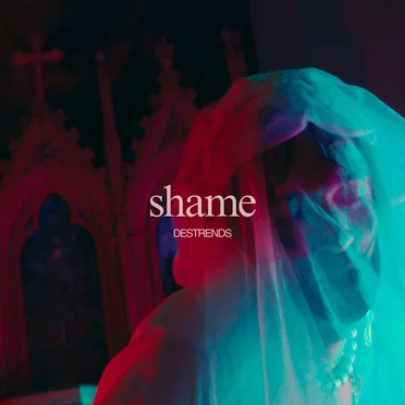 Shame by Destrends - album cover