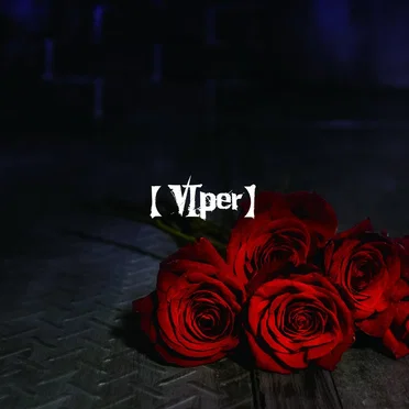 【VIper】