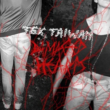 Damaged Hearts by Tex Taiwan - album cover