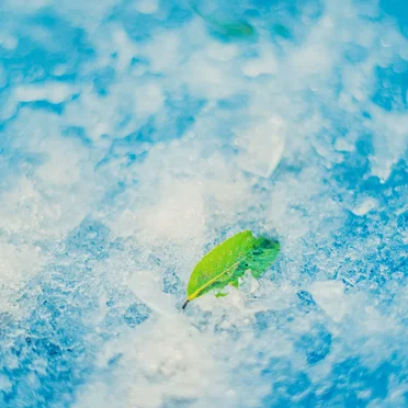 Snow melt by Sora Fujishima - album cover