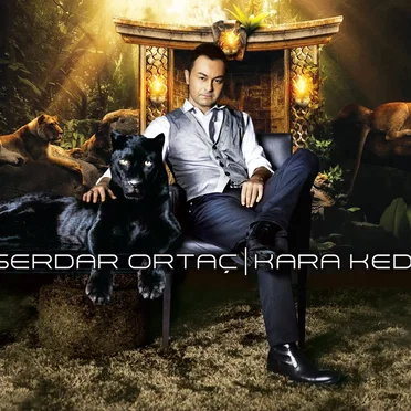 Kara Kedi