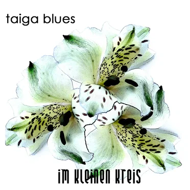 Im kleinen Kreis by Taiga Blues - album cover