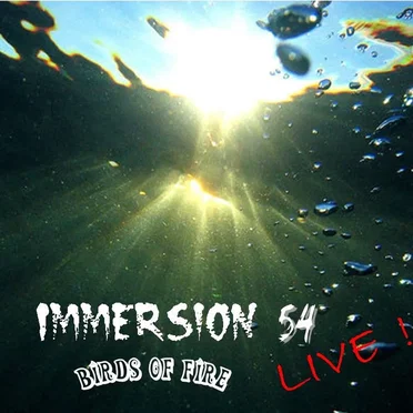 Immersion 54