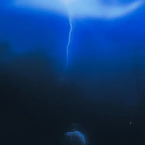 Lucid