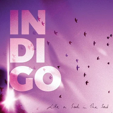 Like a Seed in the Sand by Indigo - album cover
