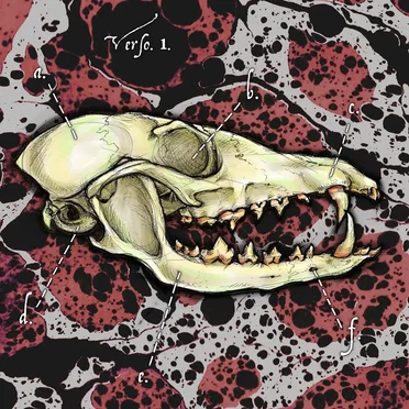 Verso. 1. by Kloahk - album cover