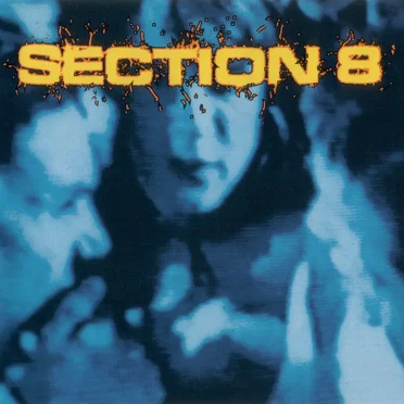 Section 8