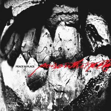 Peace in Place by Poison the Well - album cover