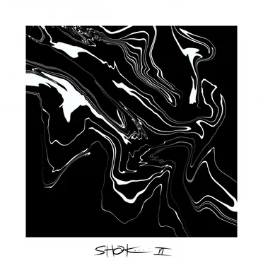 II by S.H.O.K. - album cover