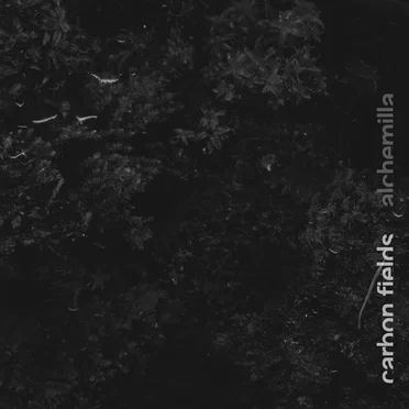 Alchemilla by Carbon Fields - album cover