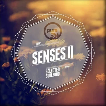 Pure Senses – Selected Soulfood, Vol. 2 by Various Artists - album cover