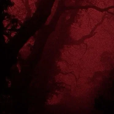 a ritual killing on 70mm