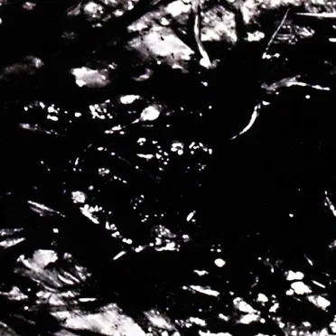 Presences of Absences
