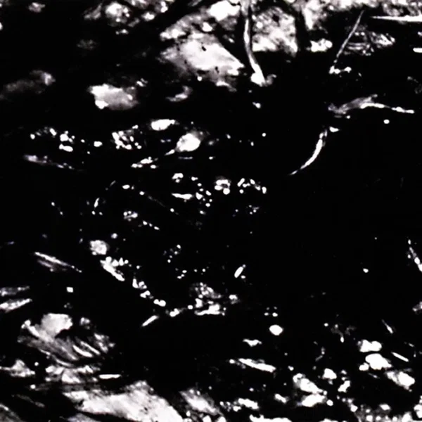 Presences of Absences