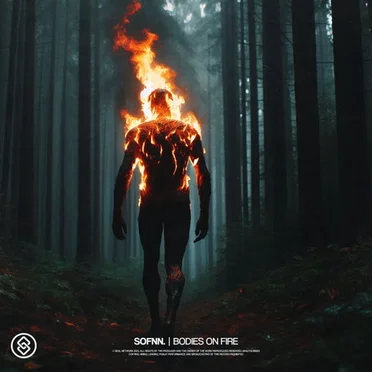 Bodies On Fire by Sofnn. - album cover
