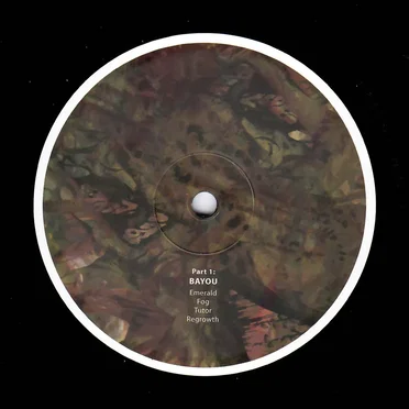 Part 1: Bayou by Birds ov Paradise - album cover
