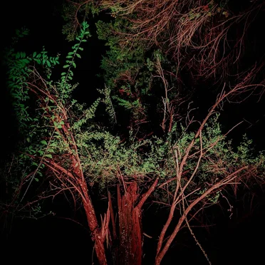 ambient feelings by Xenzer - album cover