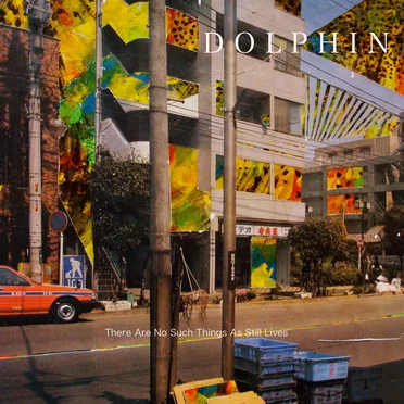 There Is No Such Thing as Still Life by Dolphin - album cover