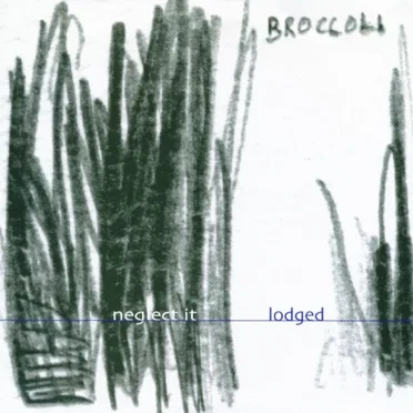 Neglect It / Lodged