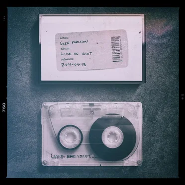 Like An Idiot by Sven Karlsson - album cover
