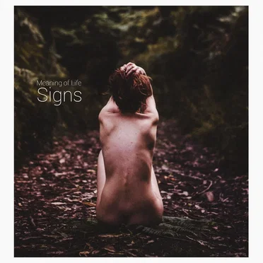 Signs by Meaning of Life - album cover