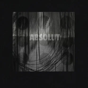 Абсолют by Хвойная вязь - album cover