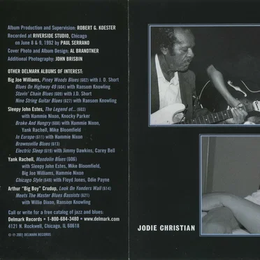 Blues Is a Feeling by Jesse Thomas - album cover