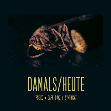 Damals/Heute by Pseiko - album cover